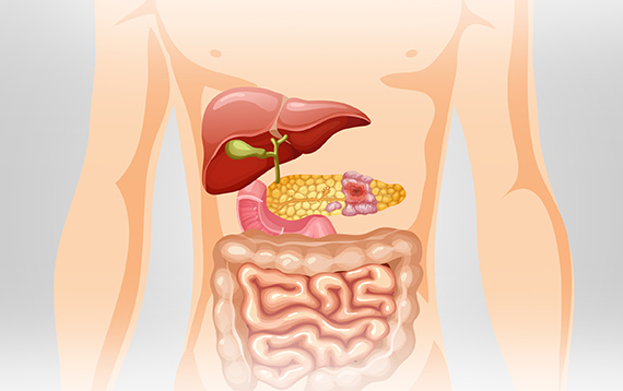 liver-function-labtest