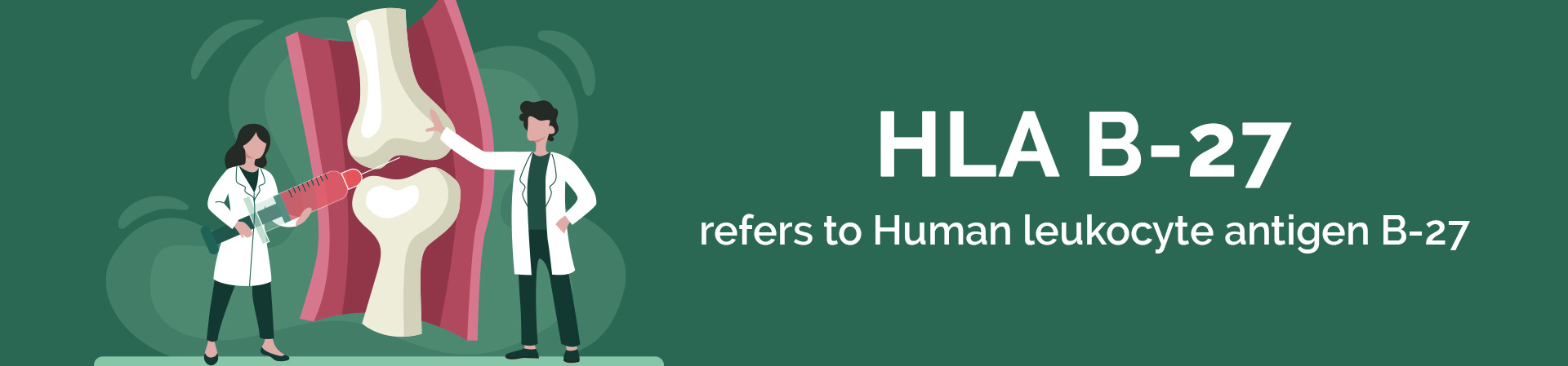 HLA B27 Test: Details, Purpose, Procedure & Cost in Kolkata Location